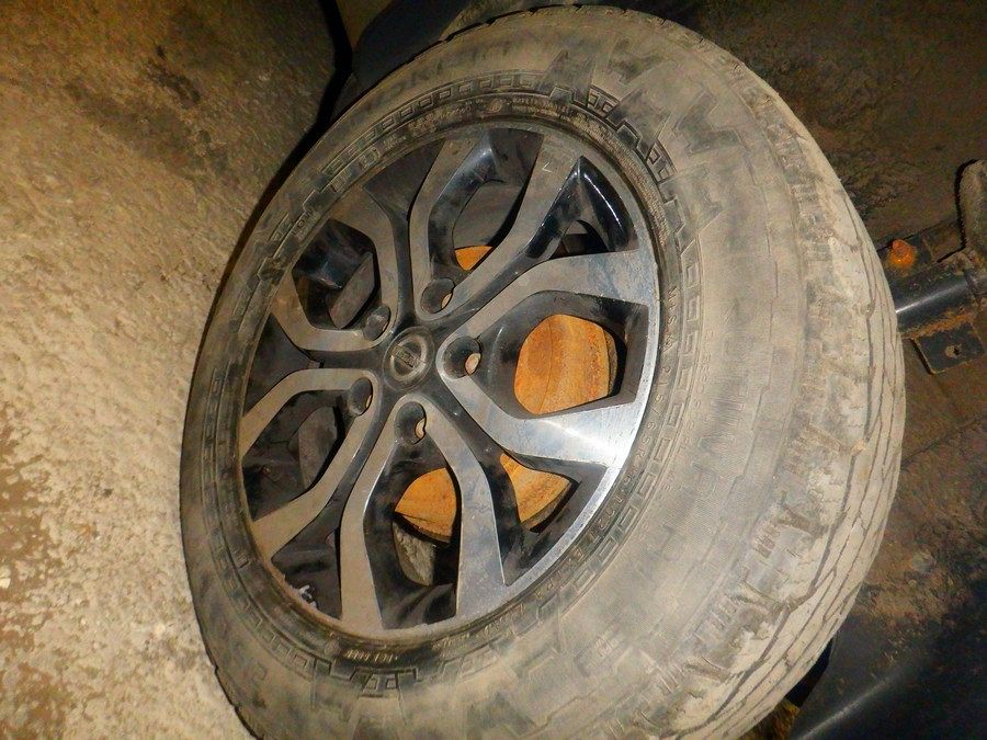 Фото Nissan Terrano 398